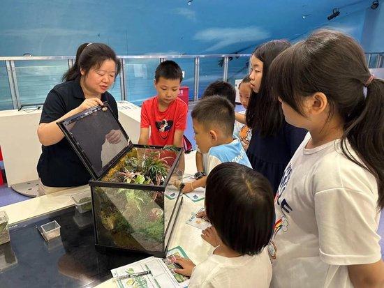 北京动物园科普馆，孩子们在参加“伪装大师——昆虫的拟态”研学课程