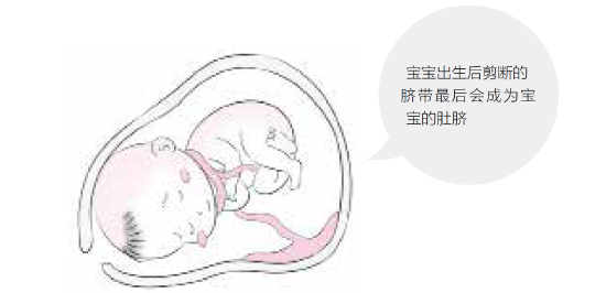 胎宝宝脐带绕颈应该怎么办？