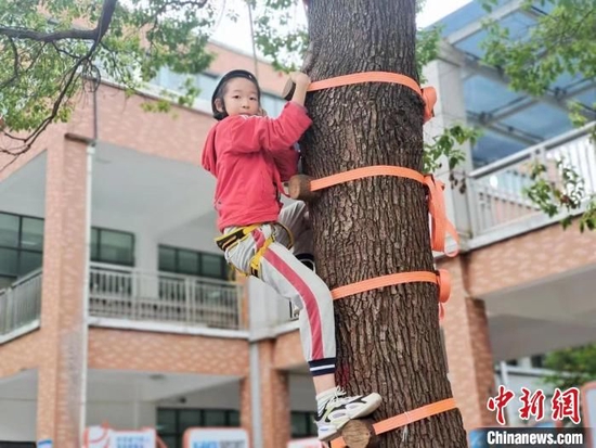 浙江教育观察：越来越多的爬树课 爬的是啥？