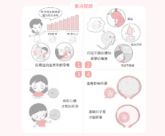 35岁是女性生育能力的分水岭