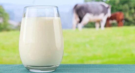 中国成年人乳制品摄入量与癌症风险相关