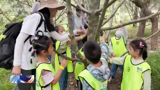 视频截图
